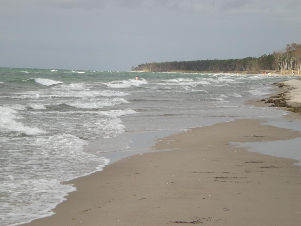 Morgensuenn Am Strand Ostseebad Kühlungsborn Eksteriør bilde